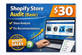 Shopify Store Audit (Basic)